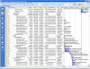 MS Project_small
